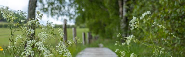 Kleine Reisebegleiter für unterwegs